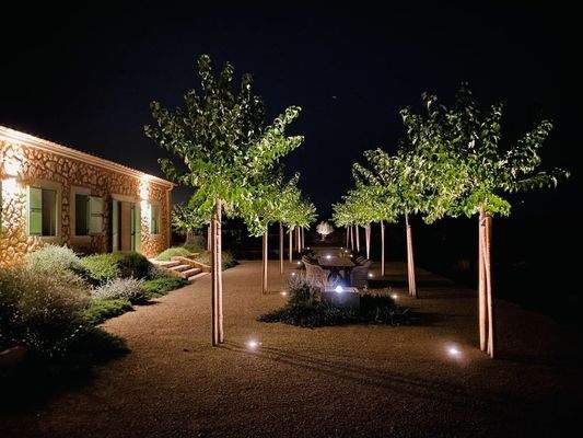 92a975d3-5ae8-4566-b1ad-0309c2d044c6