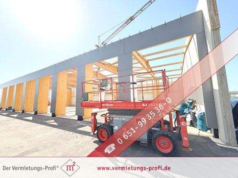 Trierweiler Halle, Trierweiler Hallenfläche