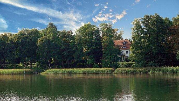 Storkower See. Blick zum Ufer