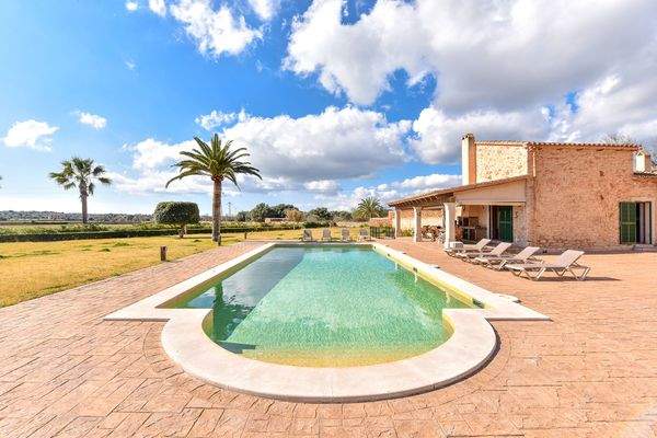 Pool, Terrasse und Garten