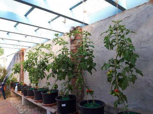 Impressionen Sommer25 (2).JPG