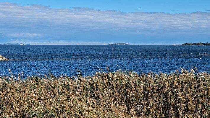 Rügen, Insel Oie, Usedom mit Peeneeinfahrt.jpg