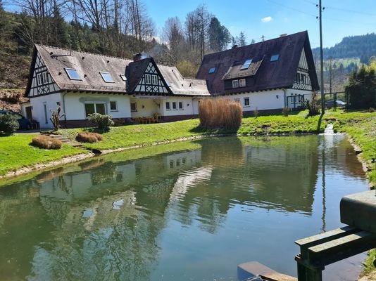 Blick vom Weiher 