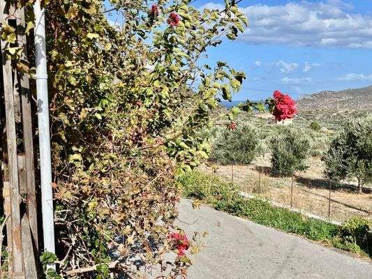 Kreta, Pachia Ammos: Teilweise renoviertes Haus mit Garten zu verkaufen