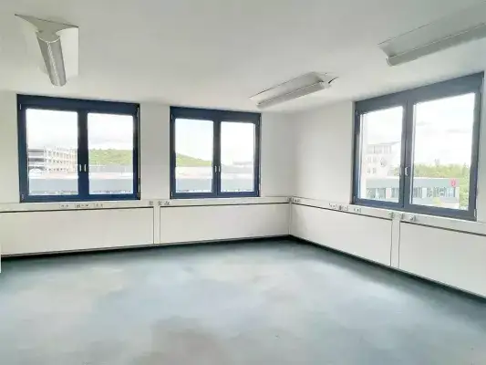 55bacfb5-9b5e-4328-9b25-a7891a005808