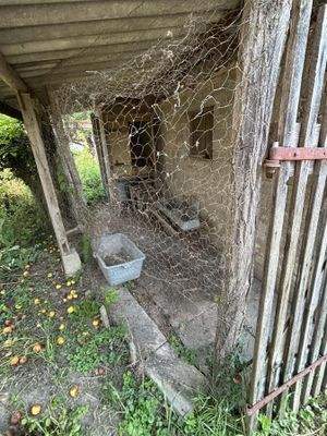 ehemaliger Hühnerstall