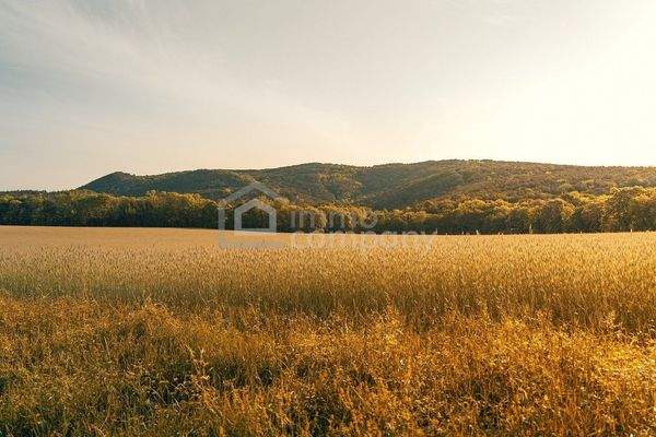 Symbolbild Grundstück (2)