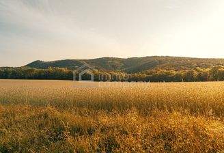 Symbolbild Grundstück (2)