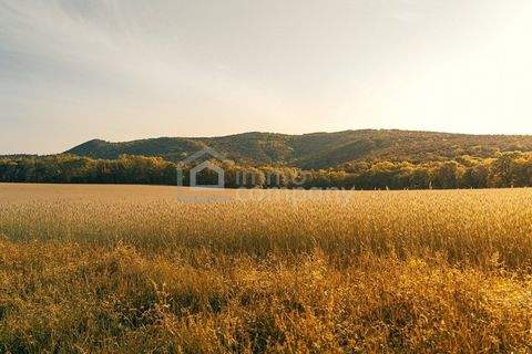 Hundsheim Grundstücke, Hundsheim Grundstück kaufen