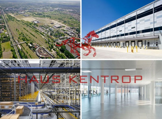 Screenshot 2025-01-09 165027.png