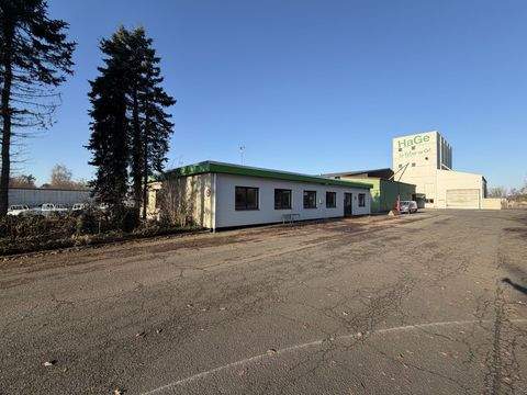 Uetersen Halle, Uetersen Hallenfläche