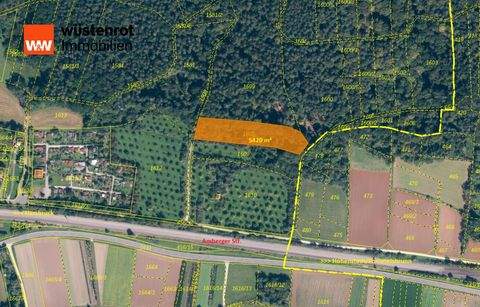 Hersbruck Bauernhöfe, Landwirtschaft, Hersbruck Forstwirtschaft