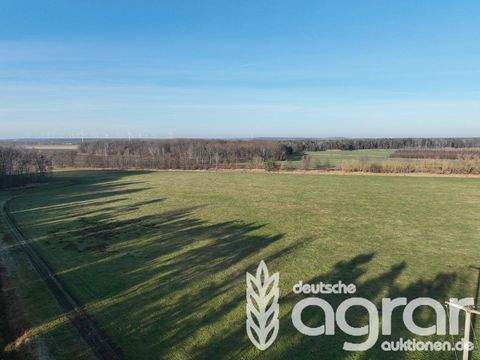 Senftenberg / Peickwitz Bauernhöfe, Landwirtschaft, Senftenberg / Peickwitz Forstwirtschaft