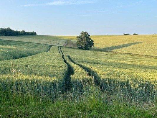 Ausblick von der Terrasse
