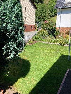 ...Blick in den Gartenbereich