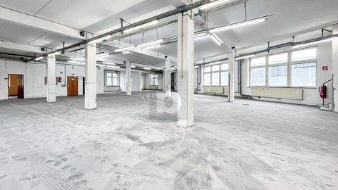 Papenburg Halle, Papenburg Hallenfläche