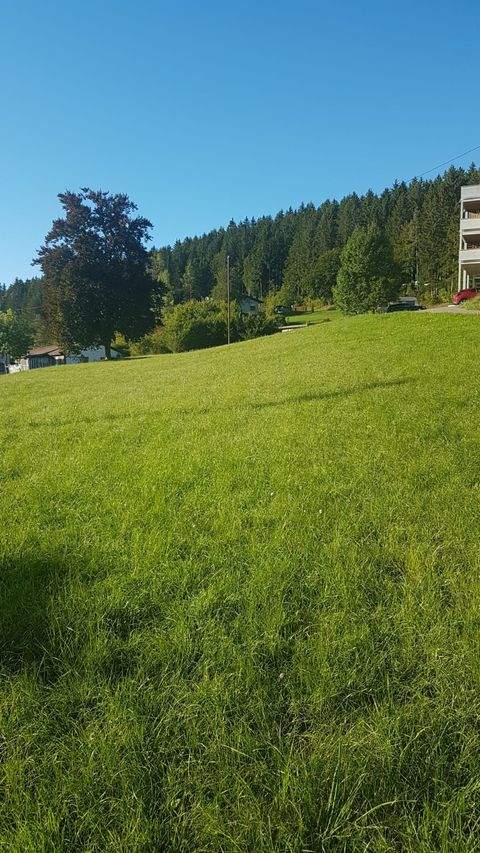 Neufra Grundstücke, Neufra Grundstück kaufen