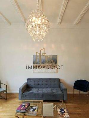 photo-243_singular_display_fullPicture