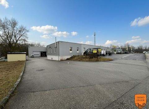 Haid Halle, Haid Hallenfläche