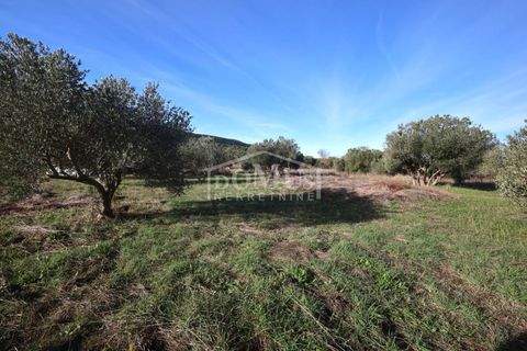 Tribunj Industrieflächen, Lagerflächen, Produktionshalle, Serviceflächen