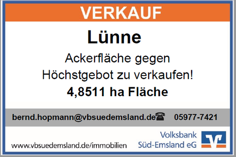 Lünne Bauernhöfe, Landwirtschaft, Lünne Forstwirtschaft