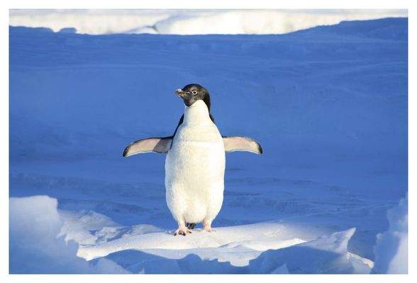 HERZLICH WILLKOMMEN sagt HENSEL IMMOBILIEN!