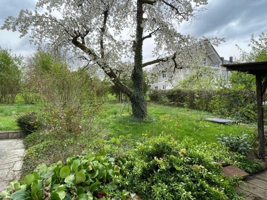 Blick in den Garten