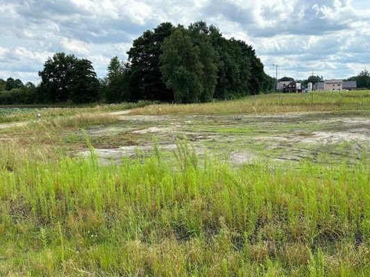 Baugebiet Kleiner Brümmelkamp