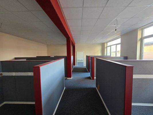 20250221_141246_resized