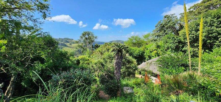 haus_kaufen_südafrika