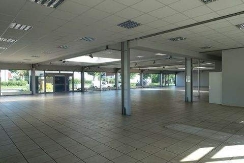 Bad Saulgau Halle, Bad Saulgau Hallenfläche