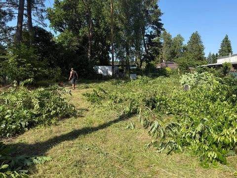 Grünheide (Mark) Grundstücke, Grünheide (Mark) Grundstück kaufen