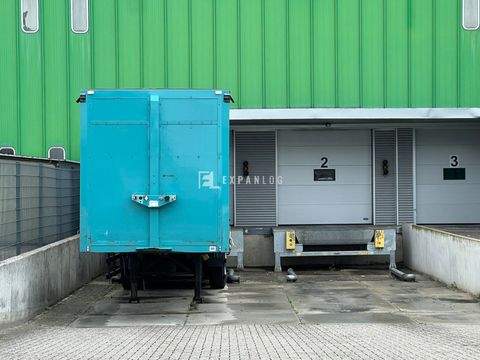 Dormagen Halle, Dormagen Hallenfläche