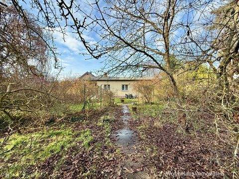 Berlin Häuser, Berlin Haus kaufen