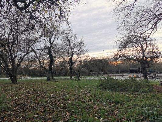 Der Garten/ Paddock erstreckt sich auf insgesamt 9000 qm