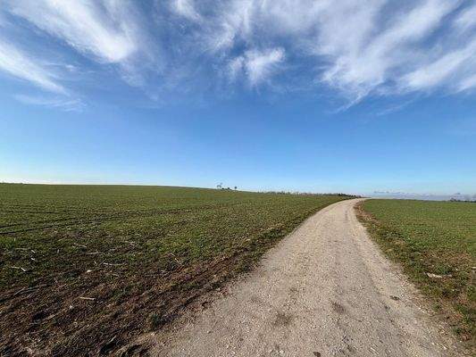 schöne naturnahe Lage