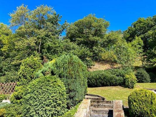 Sonnengrundstück mit Waldblick