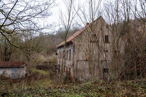 Eisenberg Häuser, Eisenberg Haus kaufen