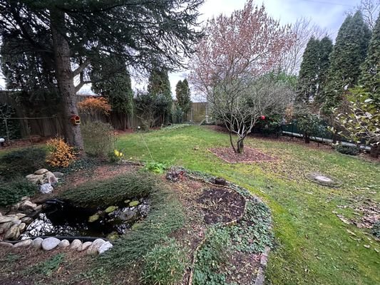Blick in den Garten (1)