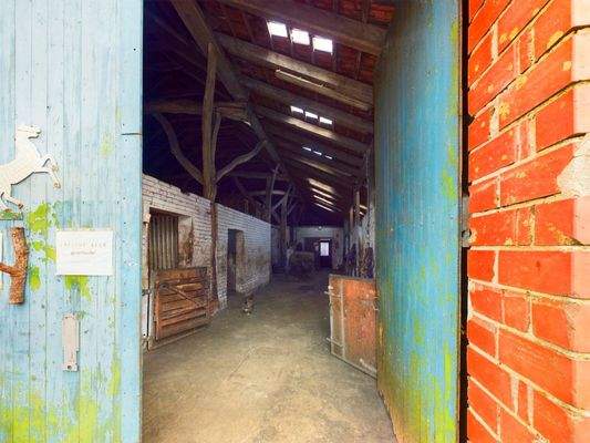 CAM03784G0-PR0052-STILL013