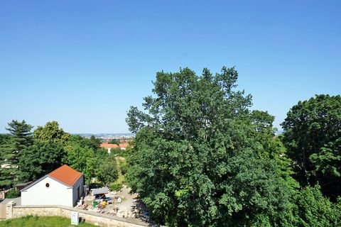 Dresden Wohnungen, Dresden Wohnung mieten