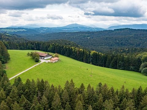 Valley Häuser, Valley Haus mieten 