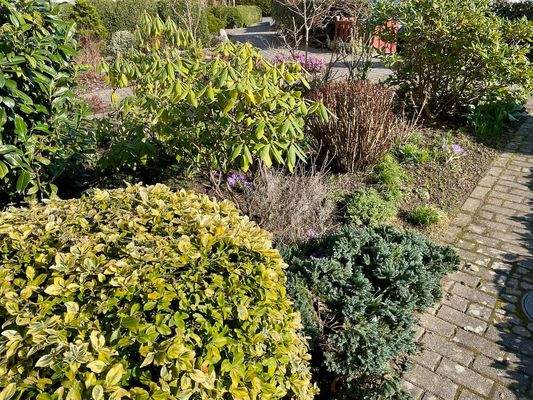 Gepflegter Vorgarten