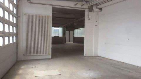 Marktrodach Halle, Marktrodach Hallenfläche