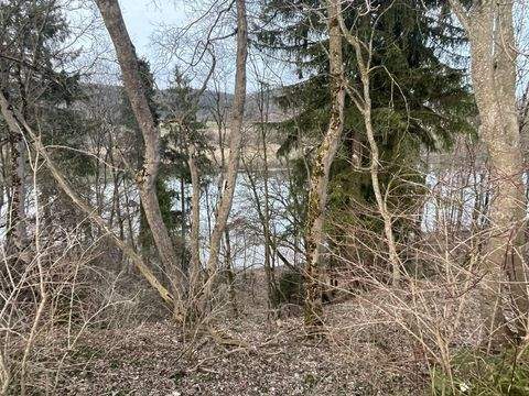 Denklingen Bauernhöfe, Landwirtschaft, Denklingen Forstwirtschaft