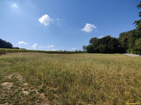 Fürstenfeld Grundstücke, Fürstenfeld Grundstück kaufen