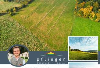 Startbild Wiese .png