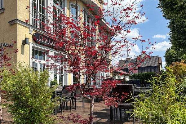 Gastro-Terrasse mit schöner Pflanzendeko