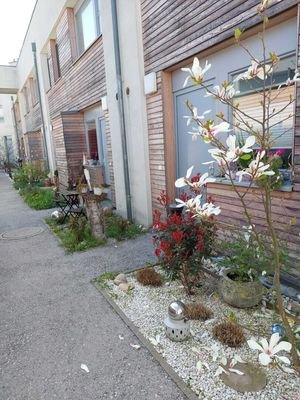 Bild 20