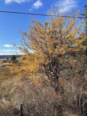 Impressionen Spätherbst